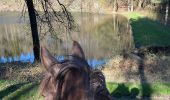 Trail Horseback riding Florenville - Les Epioux  - Photo 3