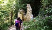 Tour Wandern Omblèze - Chute de la Druise-Ombleze - Photo 1