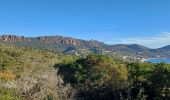 Tocht Stappen Saint-Raphaël - les ferrières depuis le parcours pédestre de St Raphaël - Photo 4