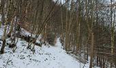Percorso Marcia Monschau - A la découverte de Montjoie 🥾 - Photo 10