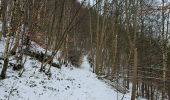 Tocht Stappen Monschau - A la découverte de Montjoie 🥾 - Photo 10