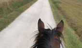 Trail Horseback riding Fronton -  trec club 1 - Photo 9
