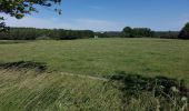 Tour Wandern Momignies - Macquenoise 170621 - Photo 10