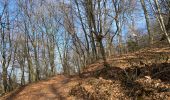 Trail Walking Compiègne - Compiegne rond point de l’Armistice 13,4 km - Photo 10