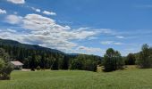 Trail Walking Bellefontaine - Autour de la citadelle. - Photo 2