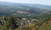 Trail Walking Bédoin - Bedoin  - Photo 6