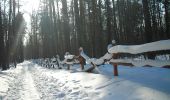 Percorso A piedi Varsavia - Ścieżka biegowa 