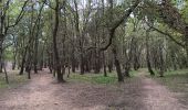 Randonnée Marche Argelès-sur-Mer - racou -  risque de portails (par les bois) port argeles (par la mer) le racou - Photo 16