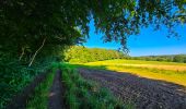 Tour Wandern Onhaye - Balade de Sommière à Weillen - Photo 15