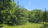 Trail Walking Belgentier - Pas de Belgentier  - Photo 7