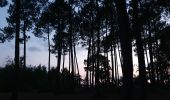 Randonnée V.T.C. Sanguinet - Sanguinet-Le lac à la tombée de la nuit - Photo 16