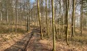 Percorso Marcia Braine-le-Château - Braine le château Lembeek 23 Km - Photo 17