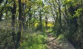 Tocht Stappen Vigneux-de-Bretagne - De Vigneux de Bretagne à Savenay  - Photo 1