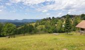 Randonnée Marche Belmont - Champ du feu - Col de la Charbonnière - Belmont  - Photo 2