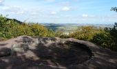 Tocht Te voet Ernolsheim-lès-Saverne - Rectangle bleu barré de blanc - Photo 4