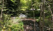 Randonnée Marche Saint-Chély-d'Aubrac - Aubrac à Domaine de La Vayssaïre - Photo 2