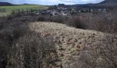 Tocht Te voet Dannenfels - Dannenfels 2: Ruine Wildenstein - Photo 4