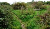 Trail On foot Unknown - Nunwell Trail - Photo 10