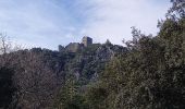 Randonnée Marche Sauve - Chateau de Freissac / le Crespou - Photo 4