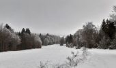 Excursión Senderismo Vassieux-en-Vercors - Forêt communale de Dié - Photo 1