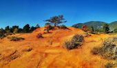 Randonnée Marche Rustrel - Colorado provençal de Rustrel - Photo 1