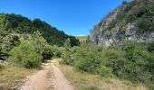 Trail Walking Redortiers - Vieux Montsalier - l’Oboeuf - Photo 3