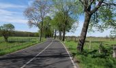 Percorso A piedi Zossen - Rundwanderweg Schünow - Horstfelde - Photo 9