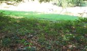 Trail Walking Ciney - Conjoux 300724 - Photo 9