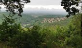 Trail Walking Bœrsch - boucle klingentgahl-heidenkopf-jardin de merlin - Photo 2