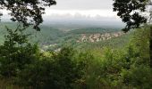 Tocht Stappen Bœrsch - boucle klingentgahl-heidenkopf-jardin de merlin - Photo 2