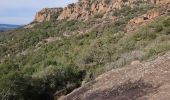 Trail Walking Roquebrune-sur-Argens - Roquebrune sur argent, 3 Croix - Photo 4