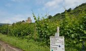 Tour Wandern Kaysersberg-Vignoble - Kaysersberg - St Alexis (26/6/2021) - Photo 10