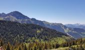 Randonnée Trail Bernex - test appli Thonon les mémises ken - Photo 5