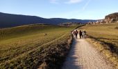 Excursión Senderismo Autrans-Méaudre en Vercors - Chemin court des Lauzets - Photo 17