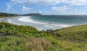 Tocht Noords wandelen Sainte-Anne - Trace des baies cap chevalier - Pointe Marin  - Photo 1