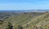 Excursión Senderismo Saint-Raphaël - Esterel : Le Mont Vinaigre par Gaspard de Besse - Photo 11