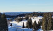 Trail Walking Saint-Cergue - Givrine - Photo 1