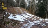 Trail Walking Le Bourget-du-Lac - mixte Pierre Nioule/croix du signal  - Photo 4