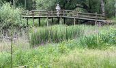 Tocht Stappen Saint-Pierre-du-Perray - 30-06-20 - Photo 2