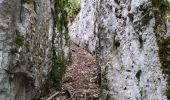 Trail Walking Presles - la Balme Riendre - Photo 7