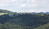 Tocht Te voet Gemeinde Bernstein - Höhenwanderweg (Ortsteile der Großgemeinde Bernstein) - Photo 2