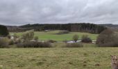 Tocht Stappen Neufchâteau - Randonnée à Neufchâteau  - Photo 8