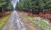 Trail Walking Houffalize - Pisserotte 151224 - Photo 20