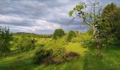 Tocht Te voet Onbekend - Rundwanderweg Darmstadt 1: Ludwigshöhen-Weg - Photo 3