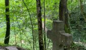 Trail Walking Houyet - Gendron-gare août 2025 - Photo 5