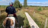 Trail Horseback riding Theux - La Reid Les Cours - Photo 6