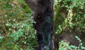 Trail Walking Bohinj - Gorges - Photo 9