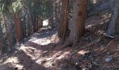 Trail Walking Val-Cenis - La Turra de Termignon  - Photo 1