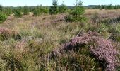 Trail Walking Malmedy - Les fagnes en été - Photo 6