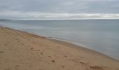 Trail Walking La Faute-sur-Mer - La Faute  4 - Photo 9